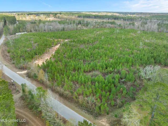 $397,150 | 84.50-acre 84.50-acre Carter Guthrie Road, Moselle, MS 39459
