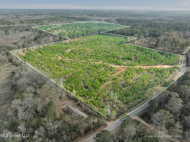 $397,150 | 84.50-acre 84.50-acre Carter Guthrie Road, Moselle, MS 39459