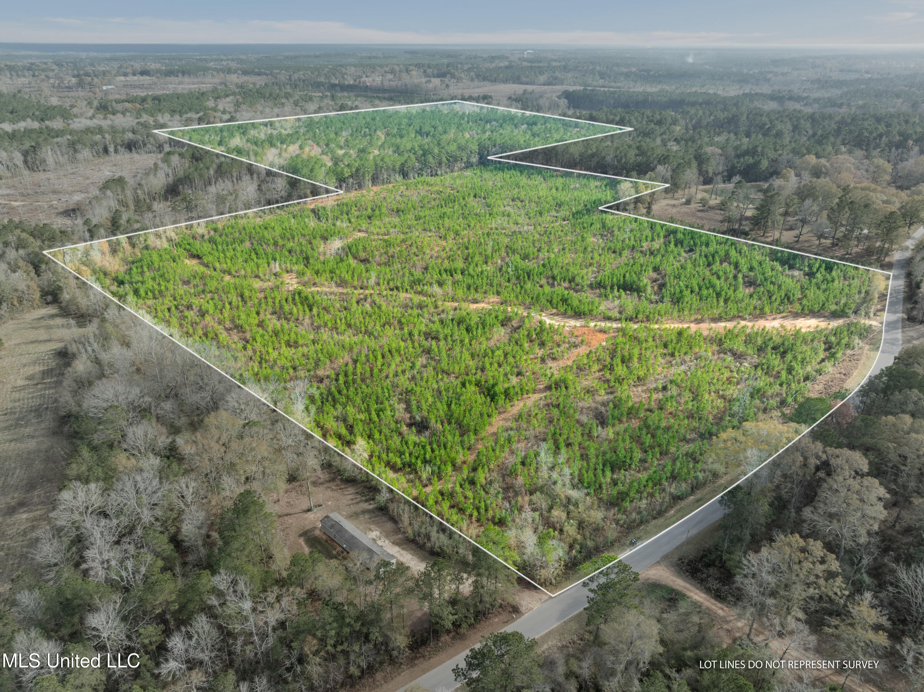 84.50-acre 84.50-acre Carter Guthrie Road Moselle, MS 39459 - Photo 2 of 13 00_Guthrie_Carter_Rd-2