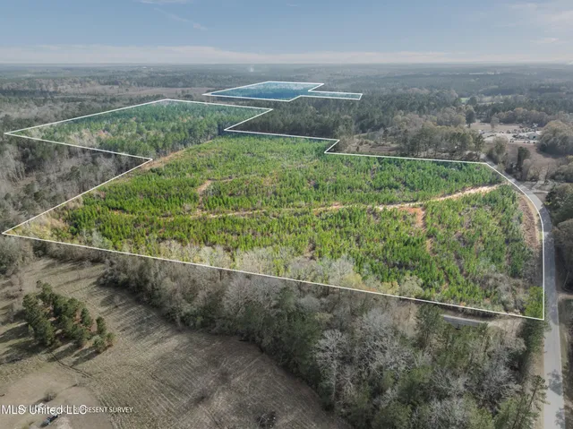 $397,150 | 84.50-acre 84.50-acre Carter Guthrie Road, Moselle, MS 39459