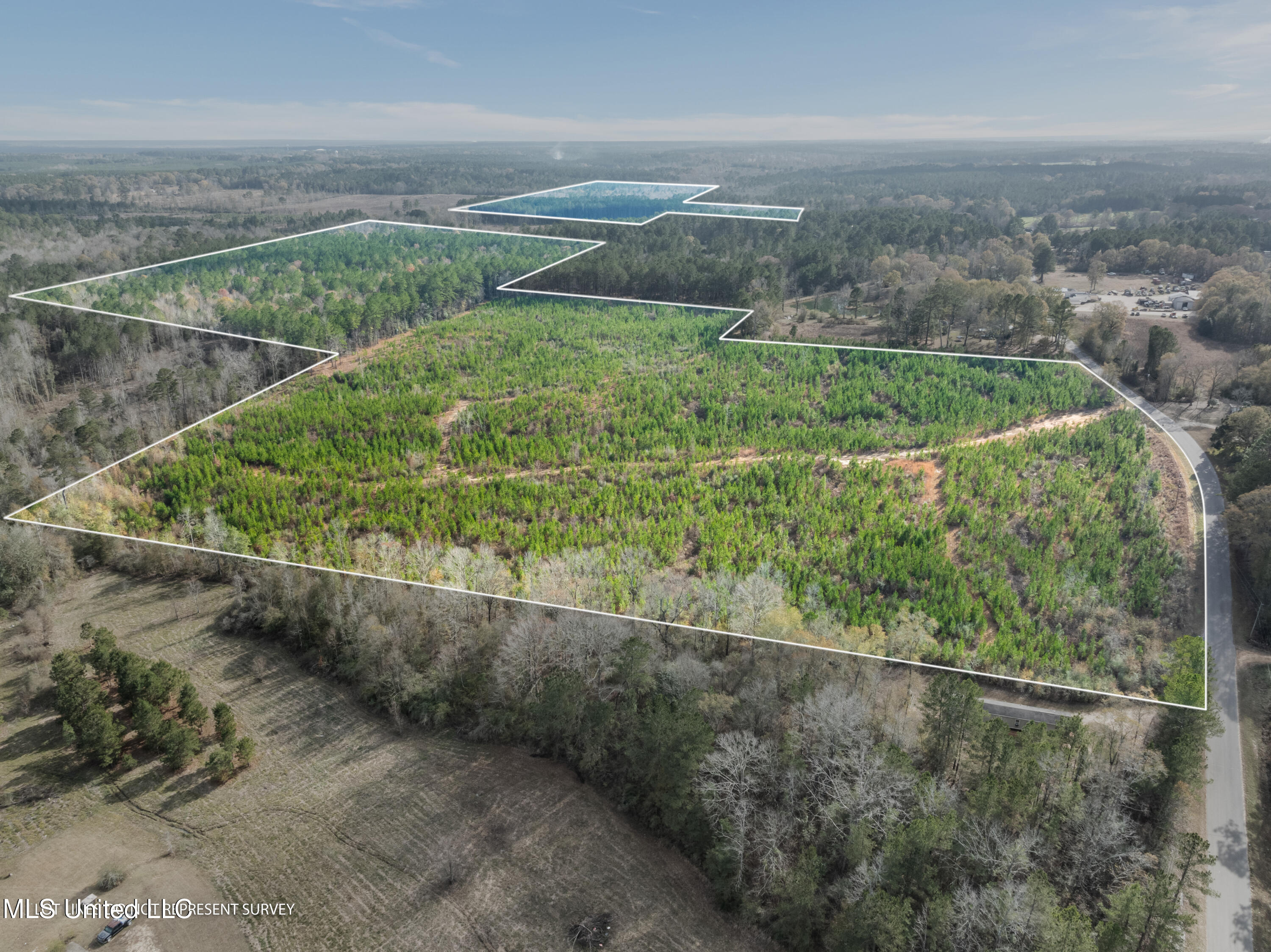 84.50-acre 84.50-acre Carter Guthrie Road Moselle, MS 39459 - Photo 3 of 13 00_Guthrie_Carter_Rd-1