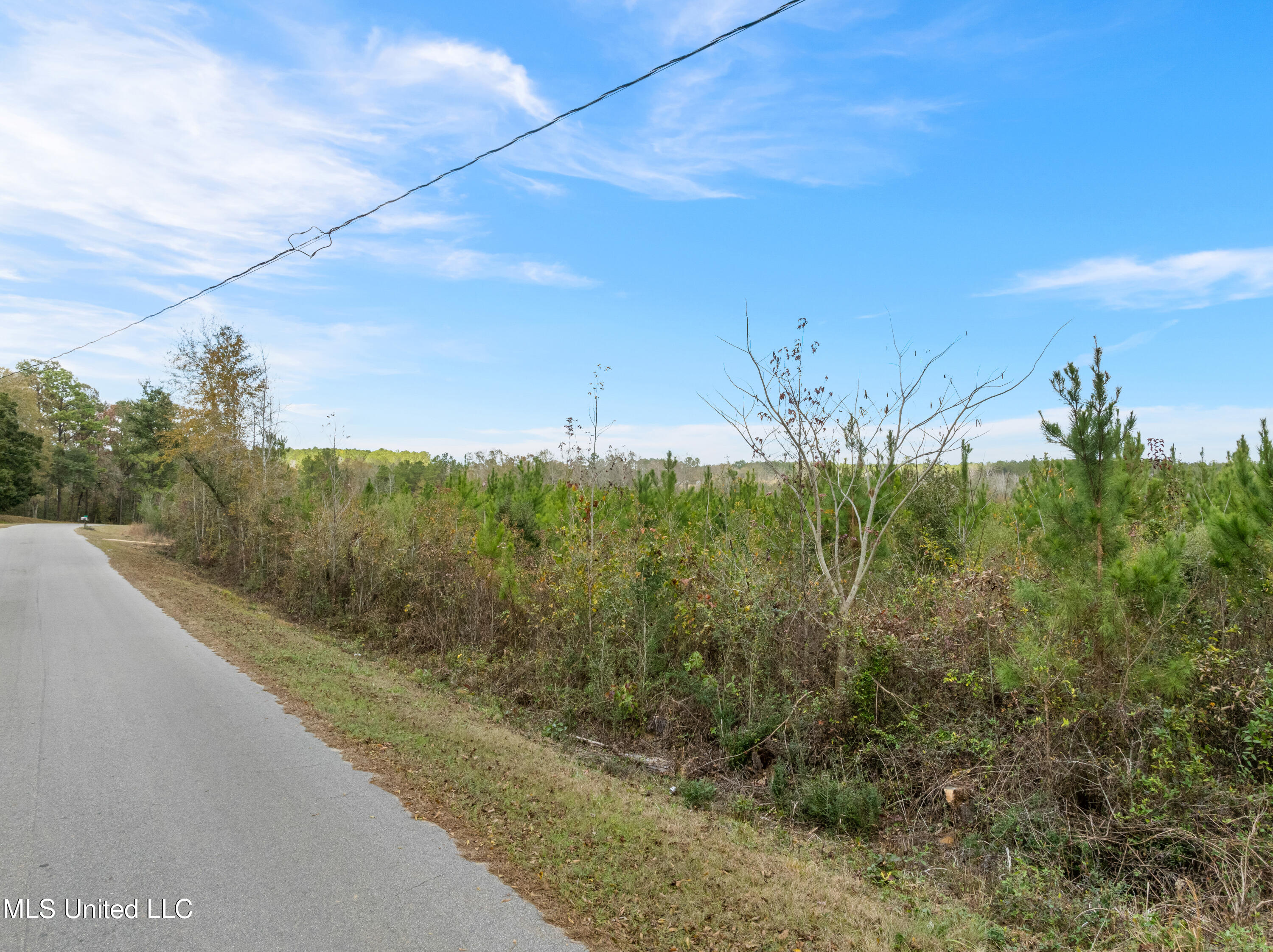84.50-acre 84.50-acre Carter Guthrie Road Moselle, MS 39459 - Photo 4 of 13 00_Guthrie_Carter_Rd-17