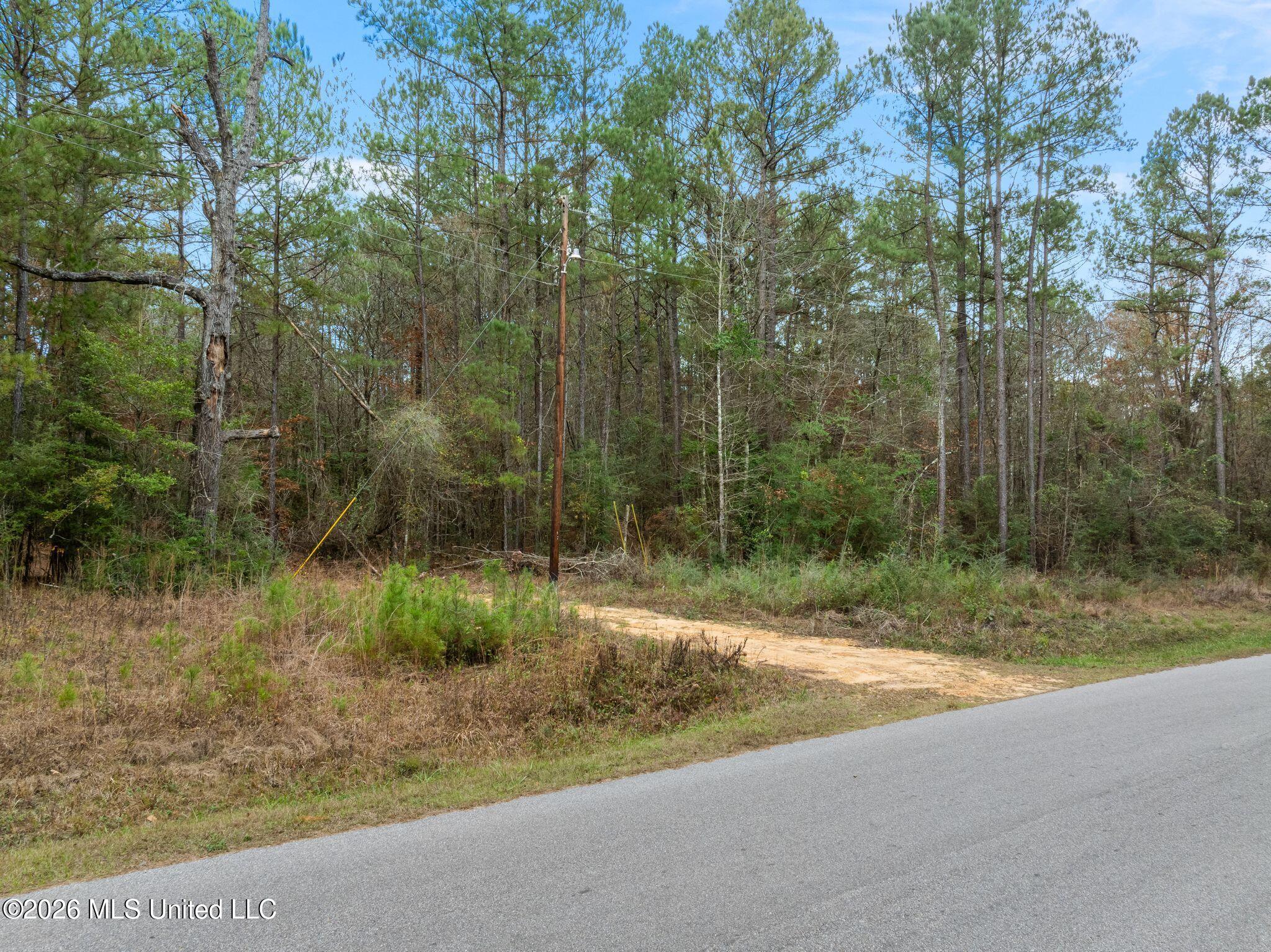 84.50-acre 84.50-acre Carter Guthrie Road Moselle, MS 39459 - Photo 4 of 9 2_00_Guthrie_Carter_Rd-4