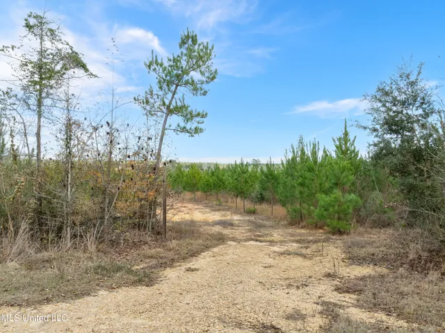 $397,150 | 84.50-acre 84.50-acre Carter Guthrie Road, Moselle, MS 39459