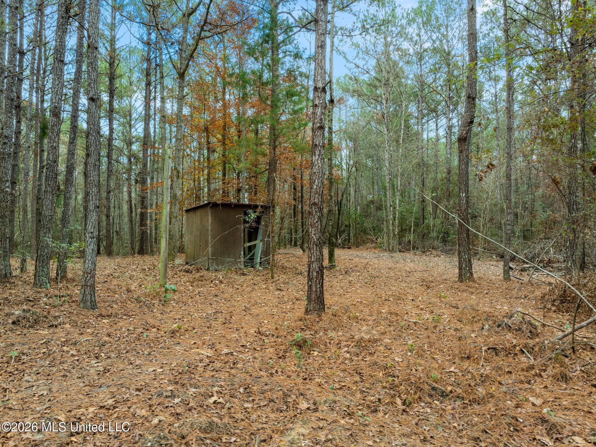 84.50-acre 84.50-acre Carter Guthrie Road Moselle, MS 39459 - Photo 7 of 9 5_00_Guthrie_Carter_Rd-7