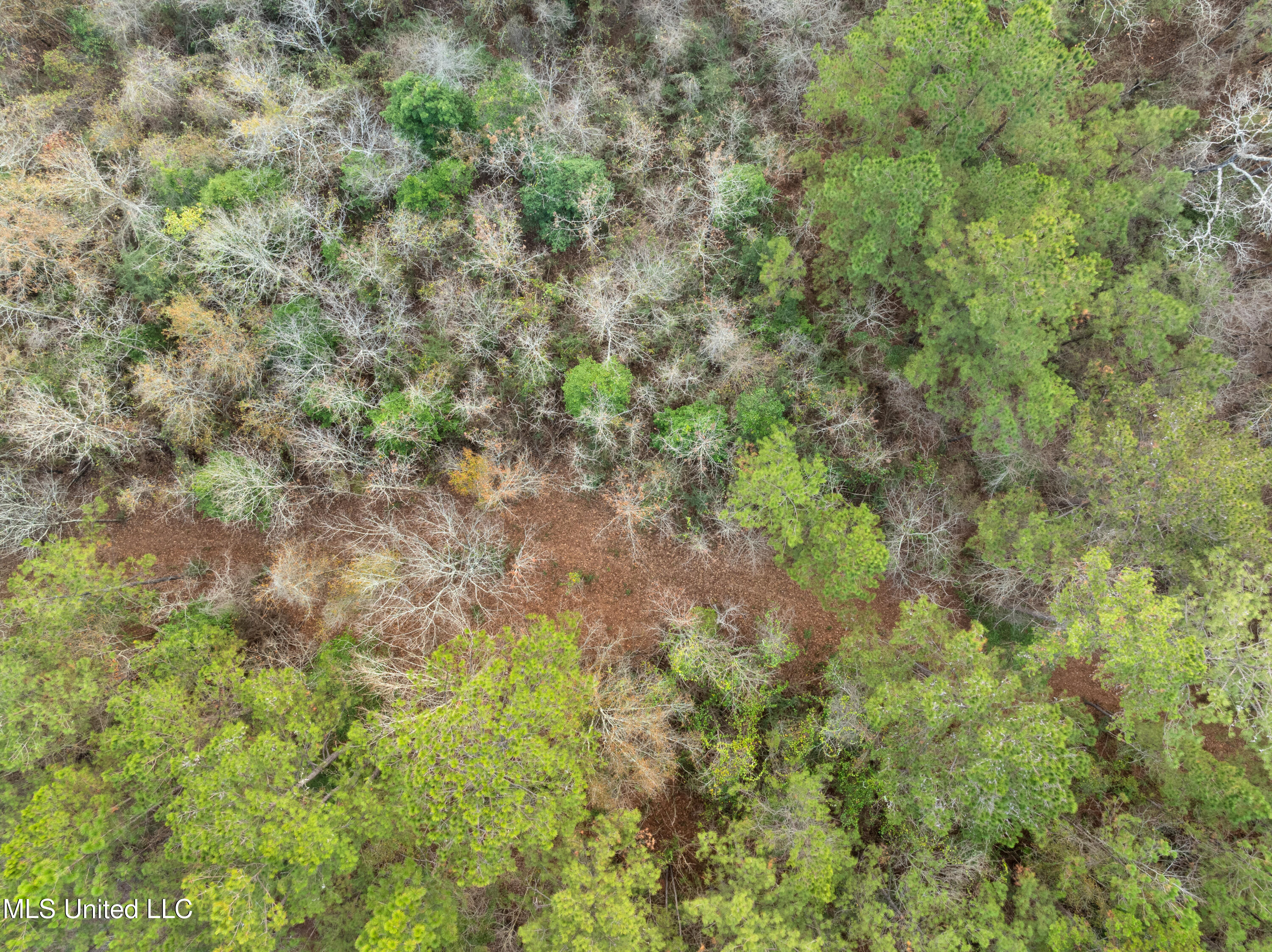 84.50-acre 84.50-acre Carter Guthrie Road Moselle, MS 39459 - Photo 8 of 9 00_Guthrie_Carter_Rd-25