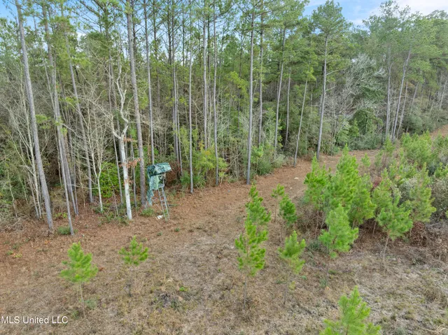$397,150 | 84.50-acre 84.50-acre Carter Guthrie Road, Moselle, MS 39459