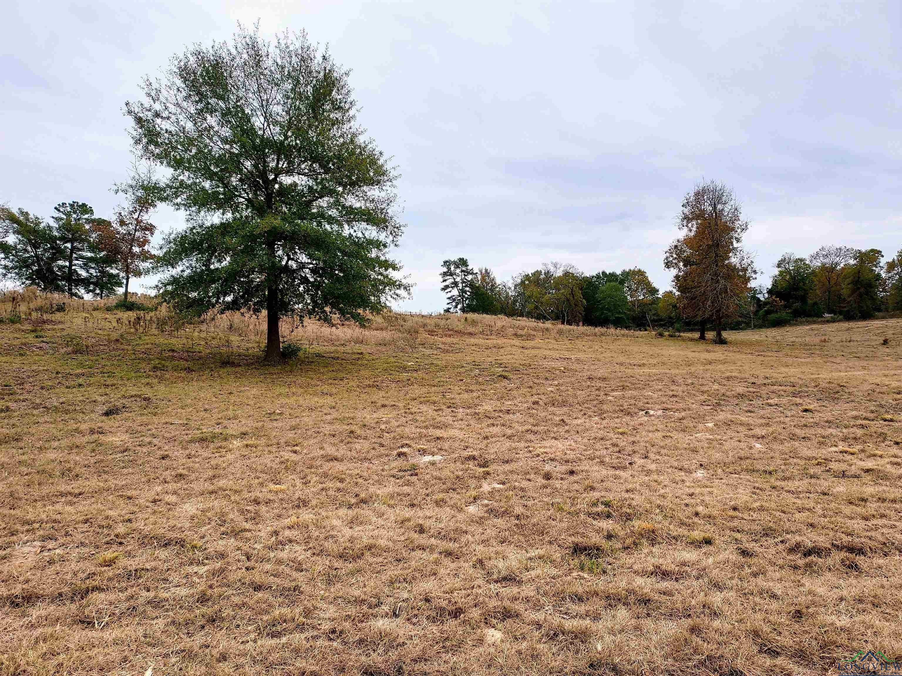 Tbd Almond Road Big Sandy, TX 75755 - Photo 30 of 36 Gallery Image 30