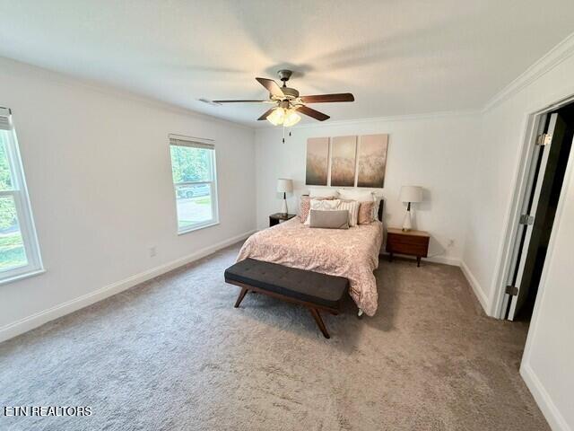 144 Wakefield Road Knoxville, TN 37922 - Photo 12 of 31 144 Wake Field 13
