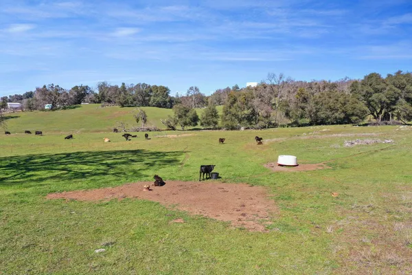 $750,000 | 1229 West Murray Creek Road, San Andreas, CA 95249