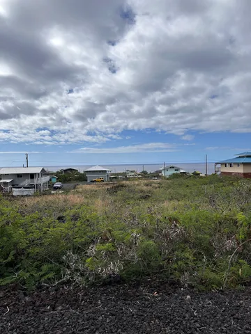 a view of a bunch of trees and mountains