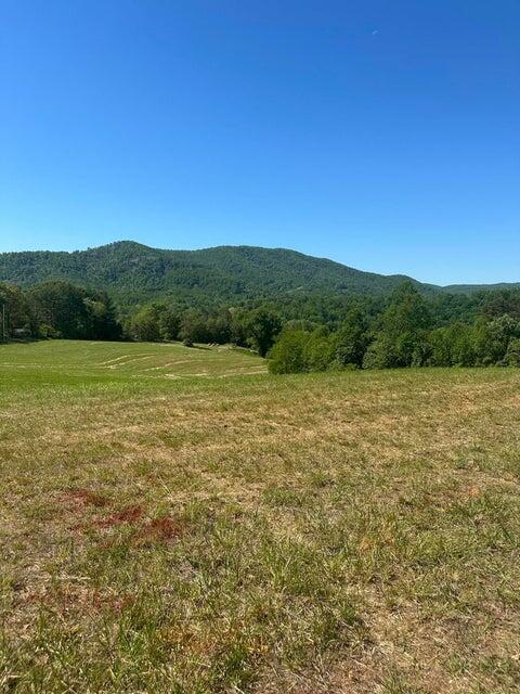 a view of a lake with mountains in the background