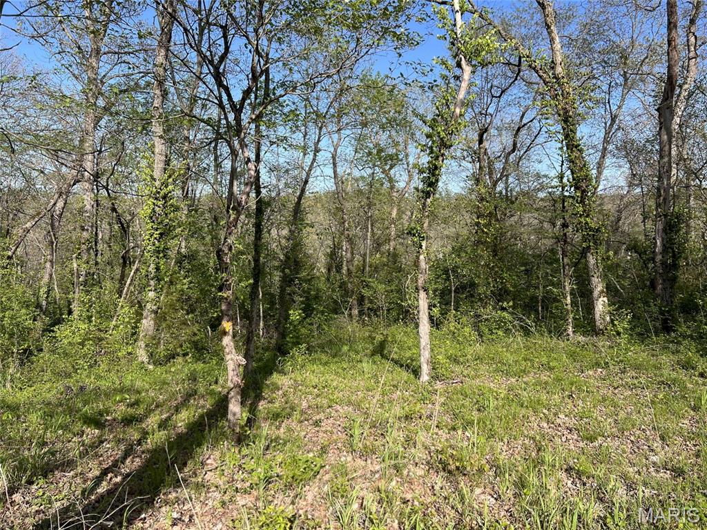 148 Jabin Farm Road Wright City, MO 63390 - Photo 1 of 7