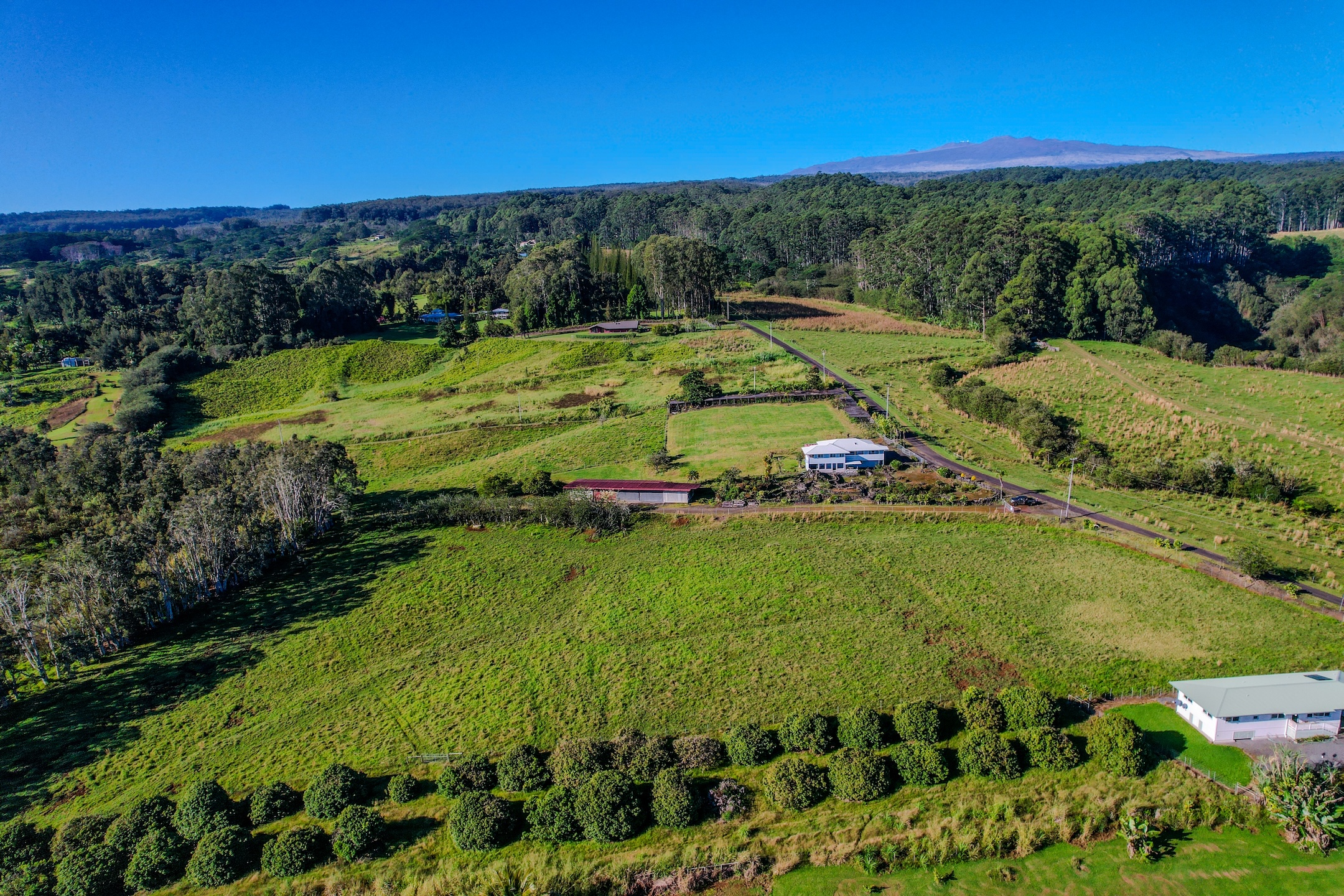 29-613 Lot Road Papaikou, HI 96781 - Photo 7 of 14 a view of a golf course with a yard