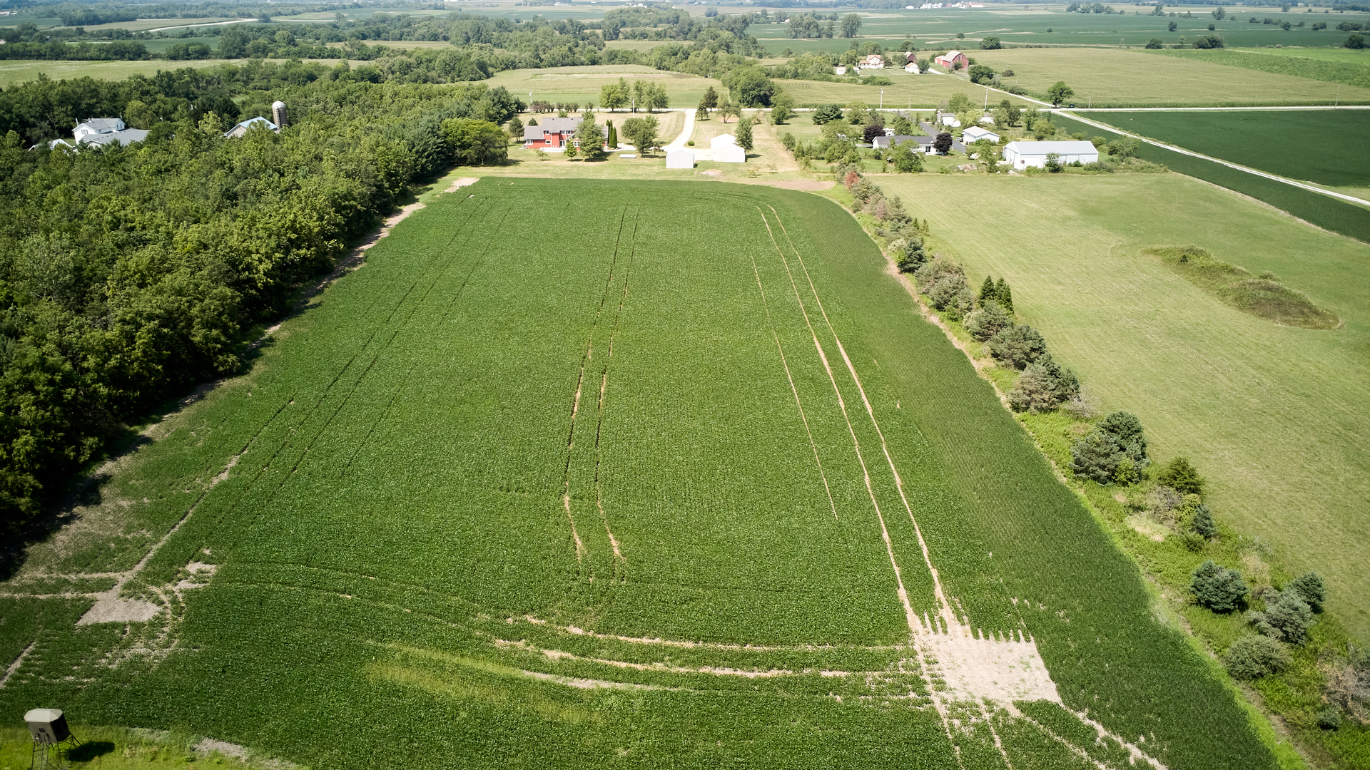 2803 West Offner Road Monee, IL 60449 - Photo 41 of 56