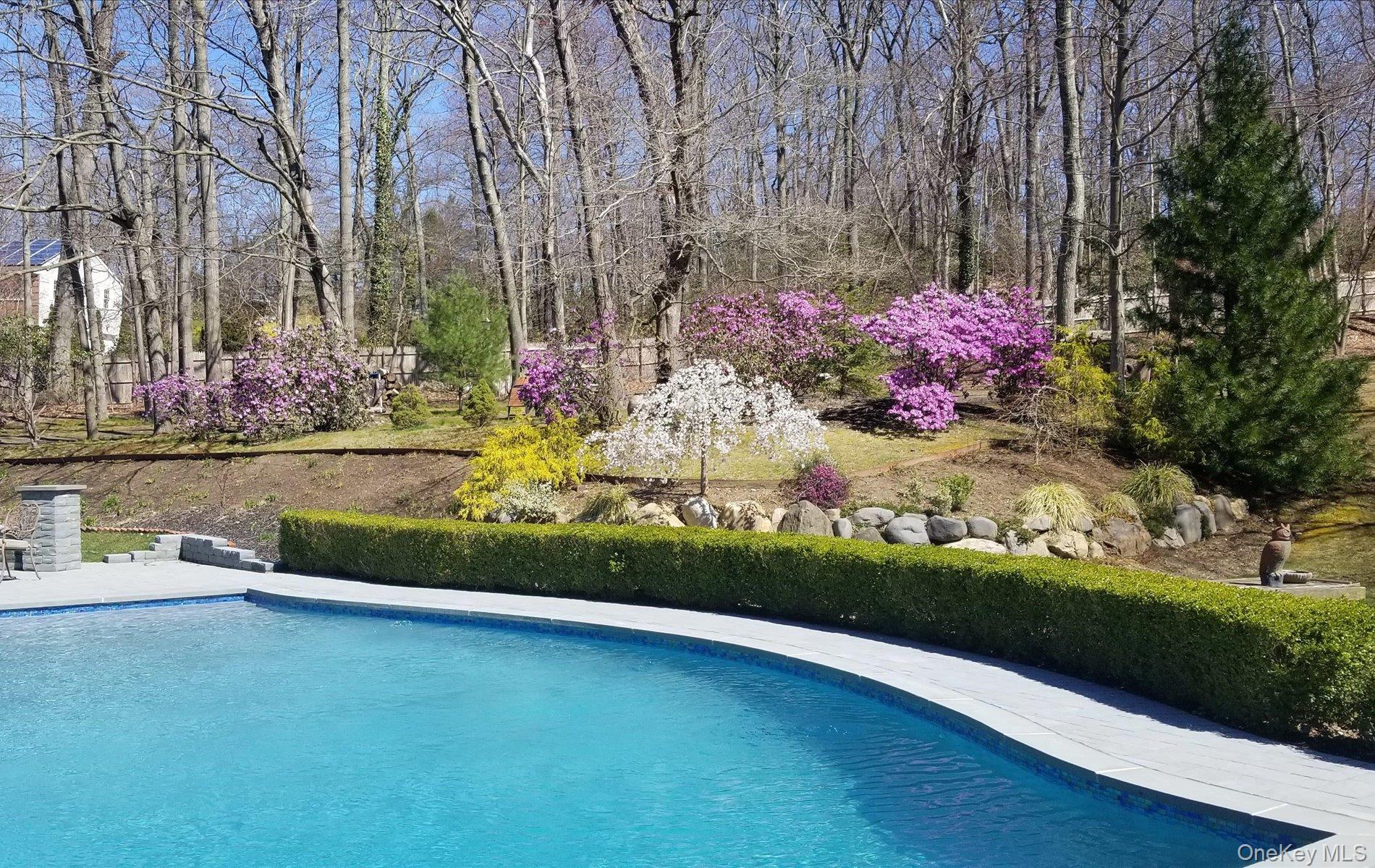 38 Tiffany Road Oyster Bay, NY 11771 - Photo 8 of 50 gunite Swimming pool with custom tiling , fountains and tumbled stone patio-professional landscaped gardens