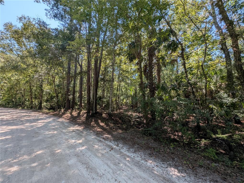 6252 East River Road Hernando, FL 34442 - Photo 2 of 8 a view of outdoor space and trees