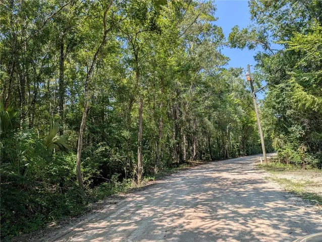 a view of backyard with green space