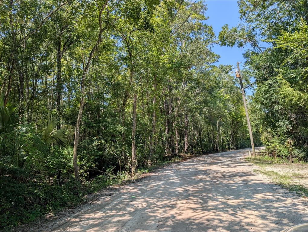 6252 East River Road Hernando, FL 34442 - Photo 4 of 8 a view of backyard with green space