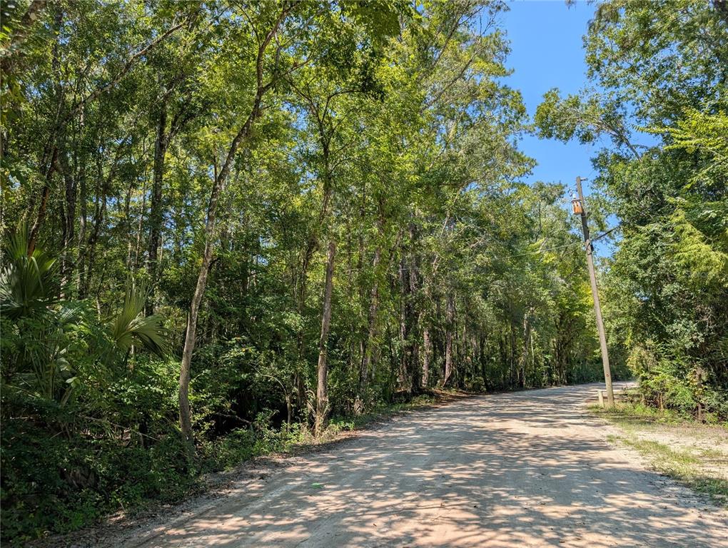 6252 East River Road Hernando, FL 34442 - Photo 5 of 8 a view of a field with trees in the background