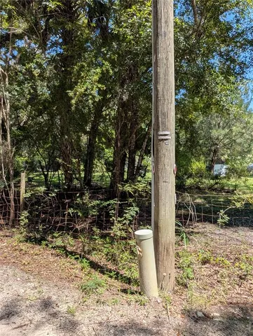 a view of a yard with plants and tree