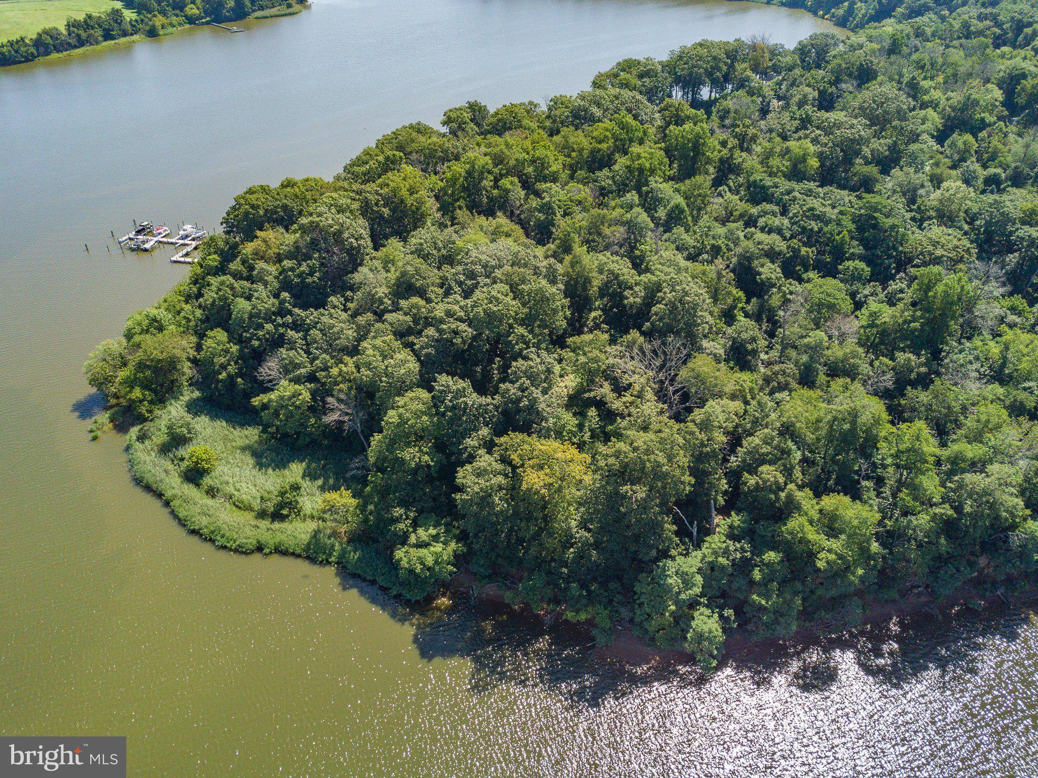 Lot 8 Knight Island Road Earleville, MD 21919 - Photo 5 of 15