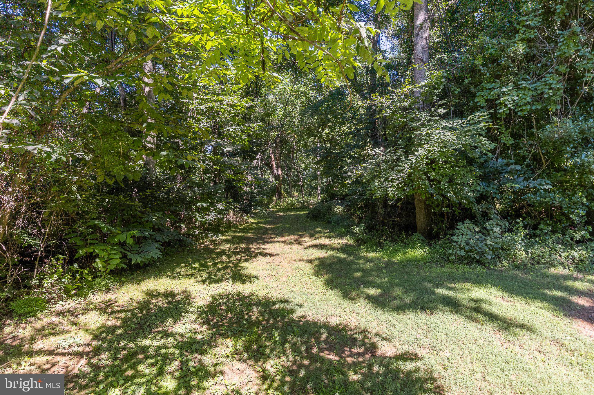 Lot 8 Knight Island Road Earleville, MD 21919 - Photo 6 of 15