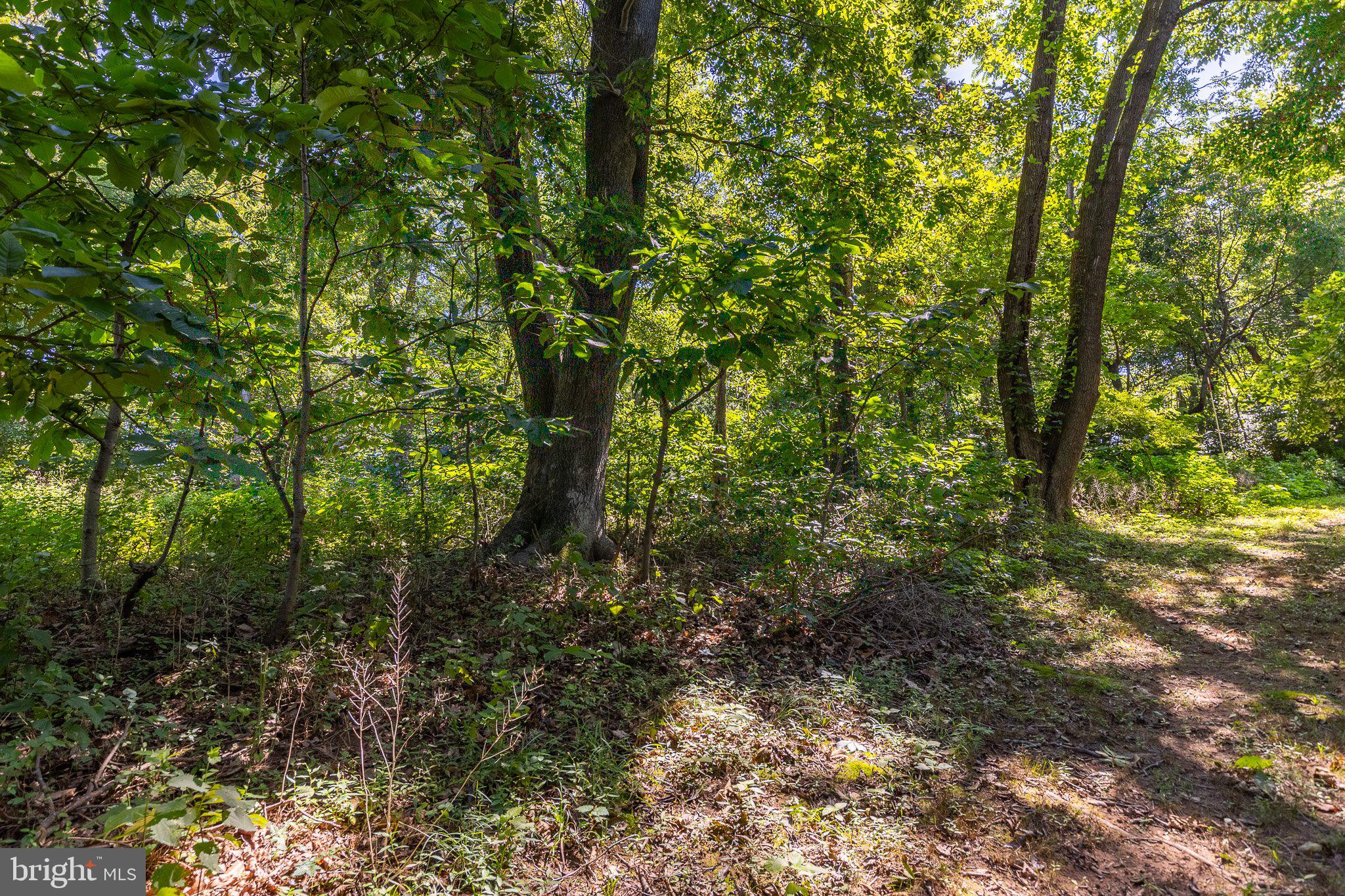 Lot 8 Knight Island Road Earleville, MD 21919 - Photo 7 of 15
