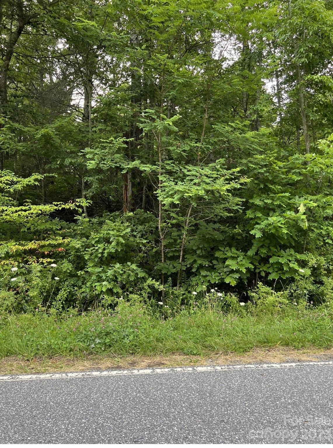 0 Joe Poore Road Newland, NC 28657 - Photo 1 of 1 Gallery Image 1