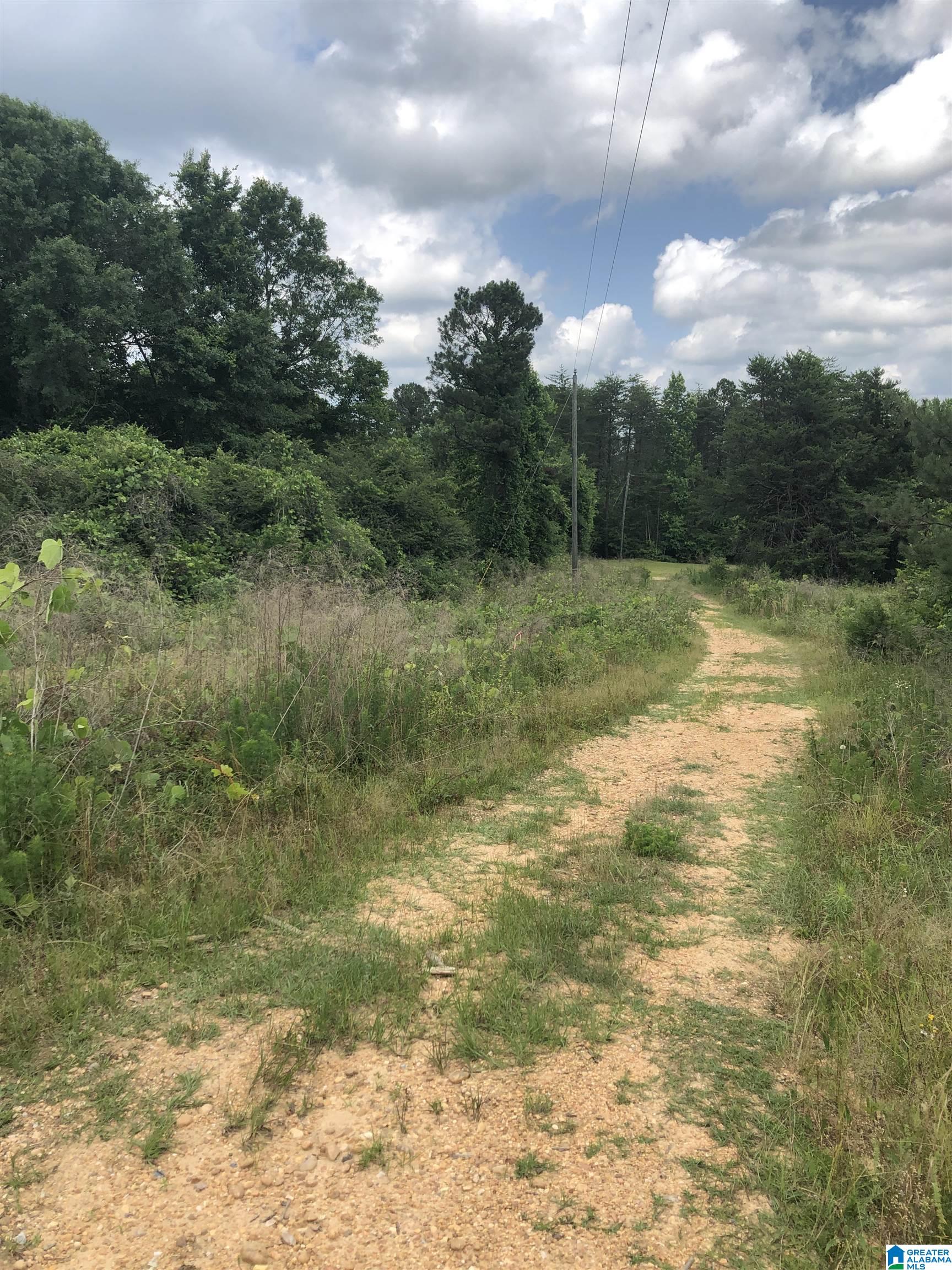 4620 County Road 7, Unit 1 Clanton, AL 35045 - Photo 3 of 4