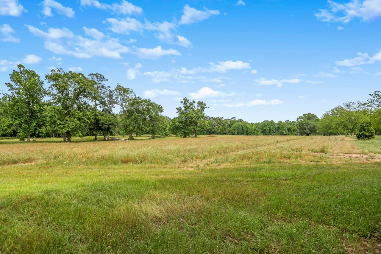 1590 Tyson Road Monticello, FL 32344 - Photo 55 of 56