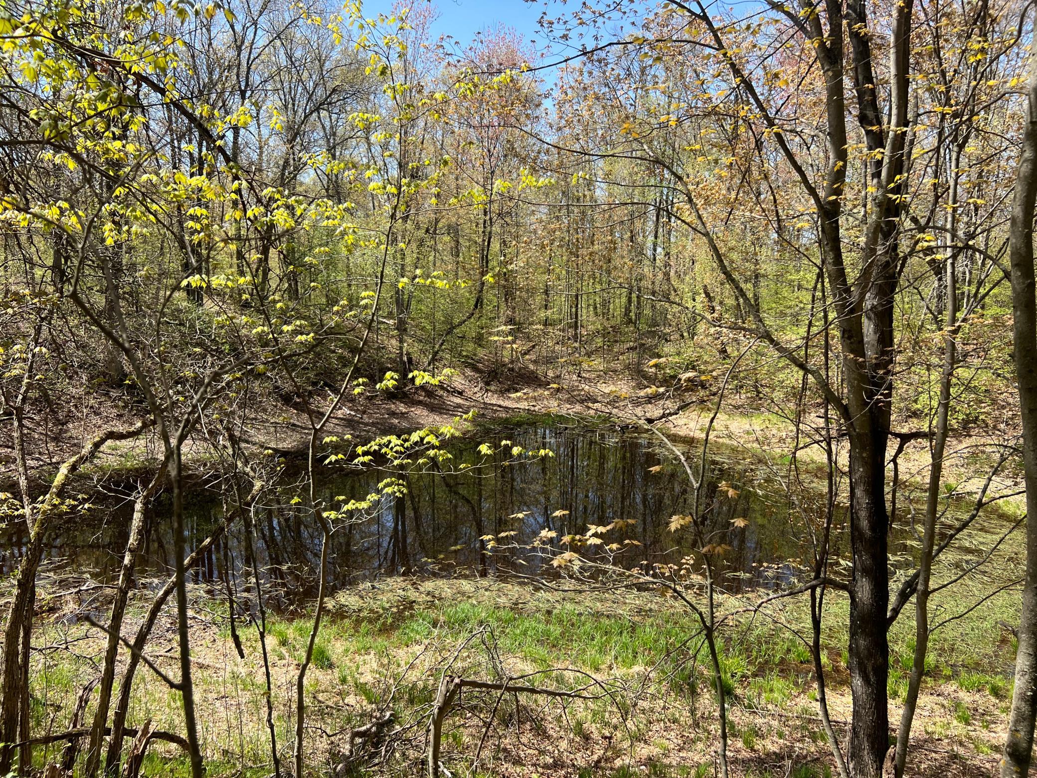 W6474 River Road Trego, WI 54888 - Photo 10 of 19