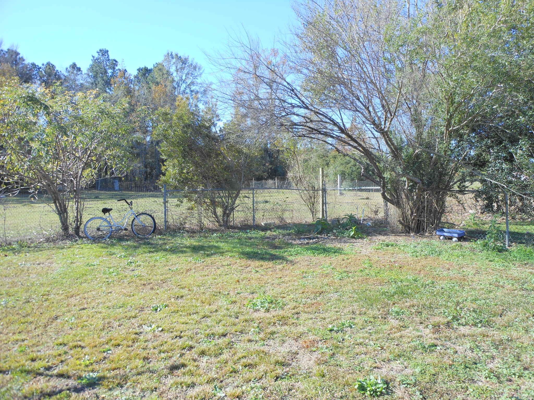 125 State Rd S-8-1099 Bonneau, SC 29431 - Photo 5 of 9 DSCN5778