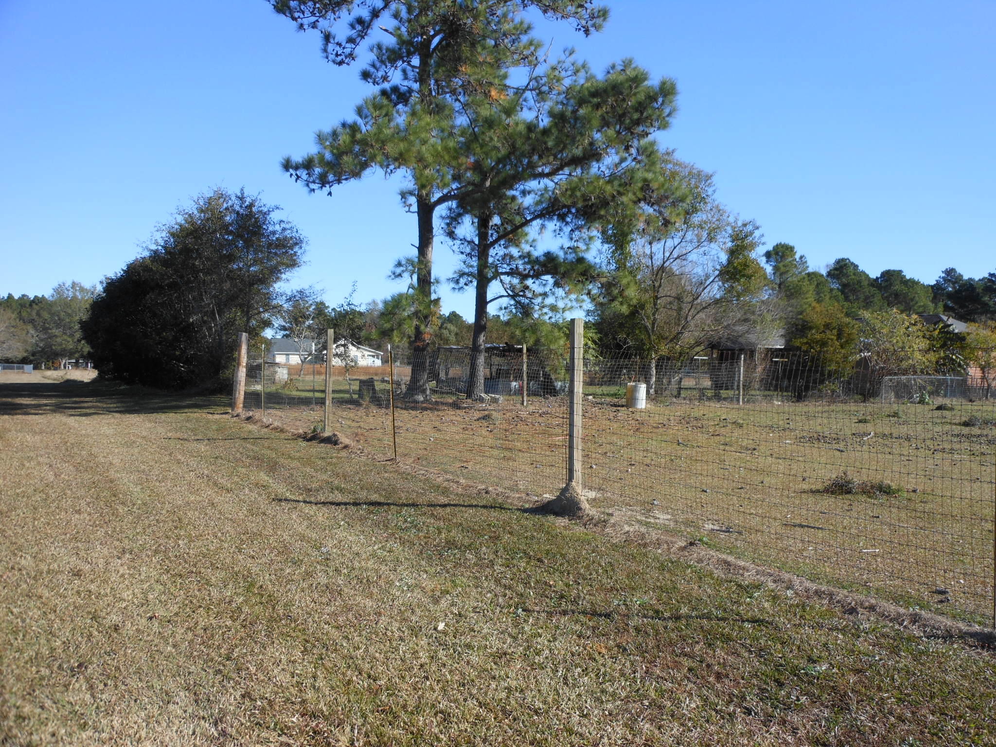 125 State Rd S-8-1099 Bonneau, SC 29431 - Photo 6 of 9 DSCN5779