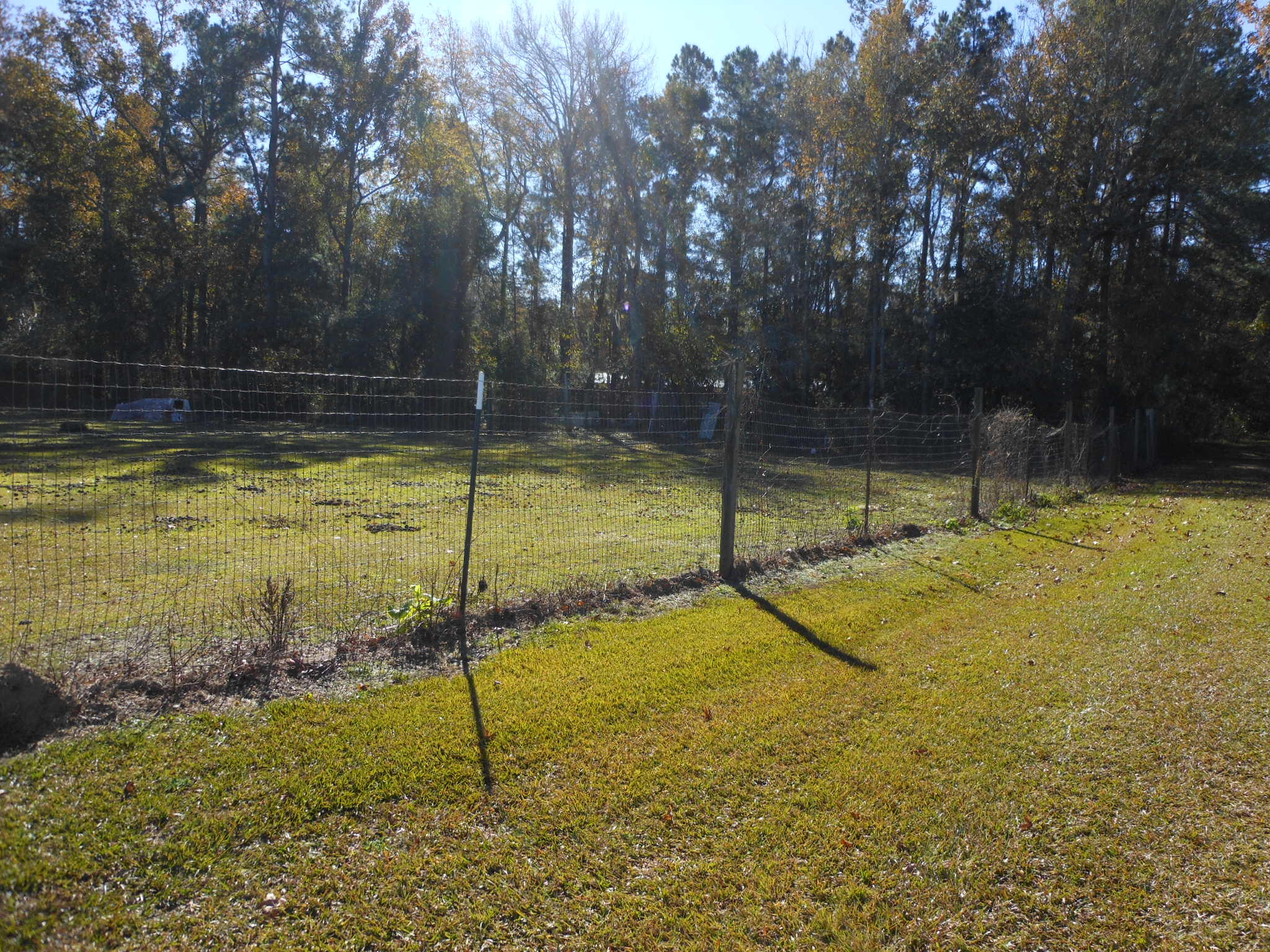 125 State Rd S-8-1099 Bonneau, SC 29431 - Photo 7 of 9 DSCN5781