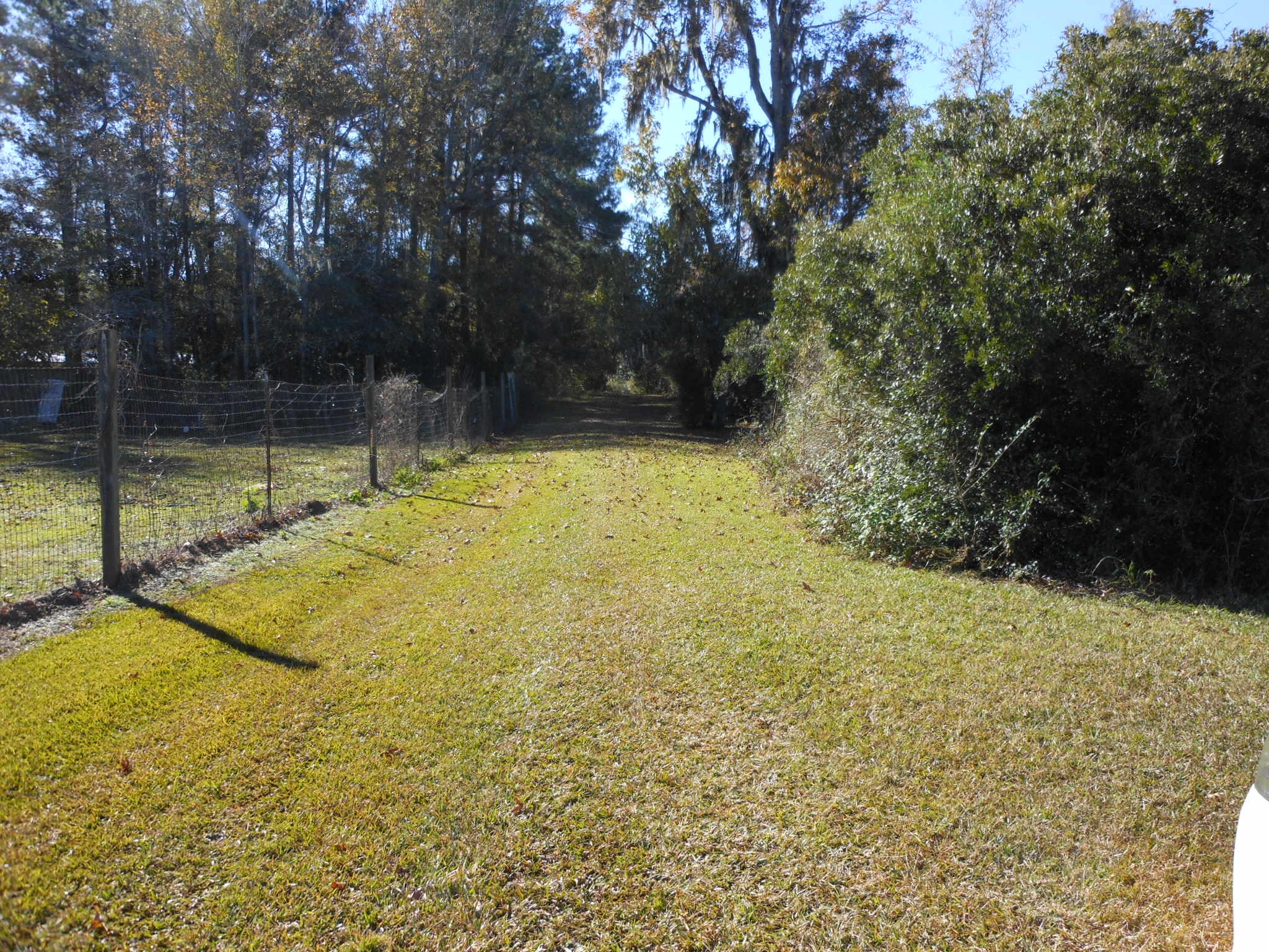 125 State Rd S-8-1099 Bonneau, SC 29431 - Photo 9 of 9 DSCN5782