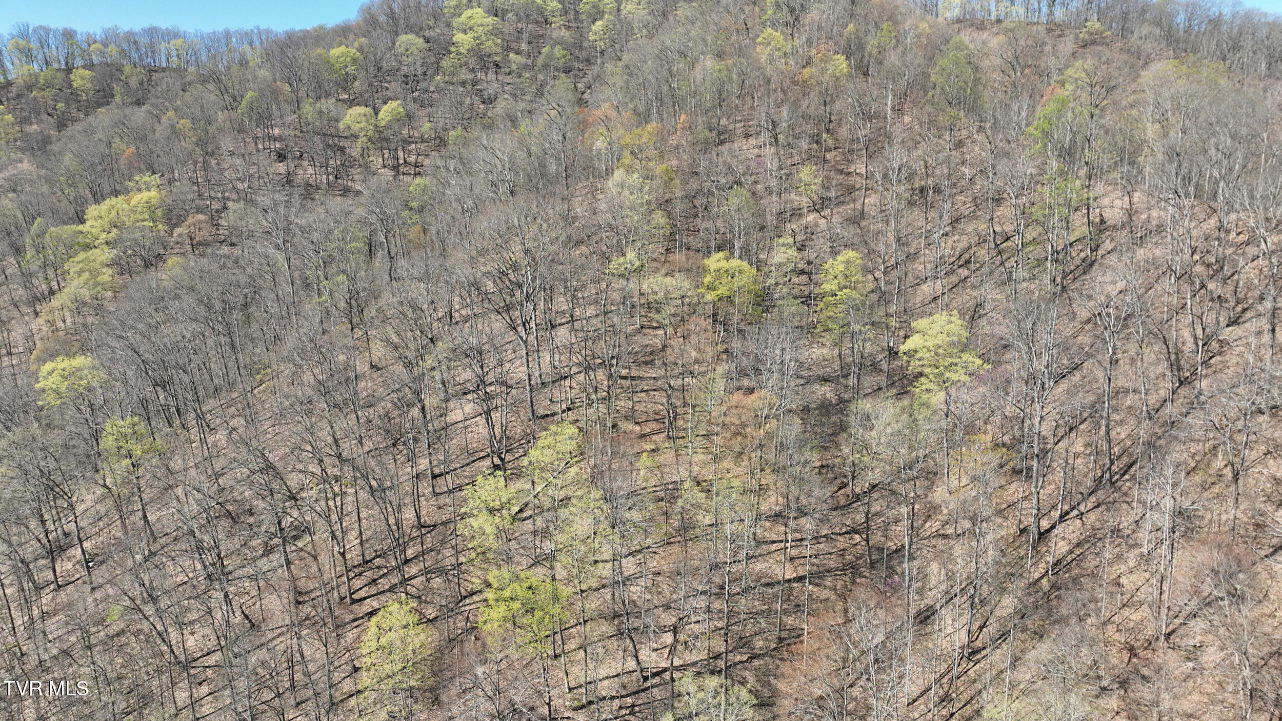 0 Guesses Fork Road Hurley, VA 24620 - Photo 25 of 31 IMG_7466