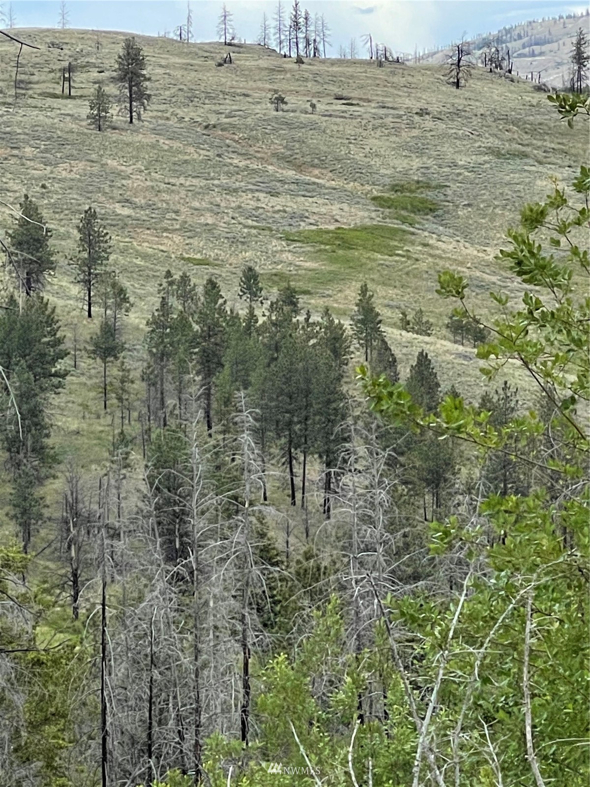 960 X Knox Road Riverside, WA 98849 - Photo 12 of 40 a view of a lake view
