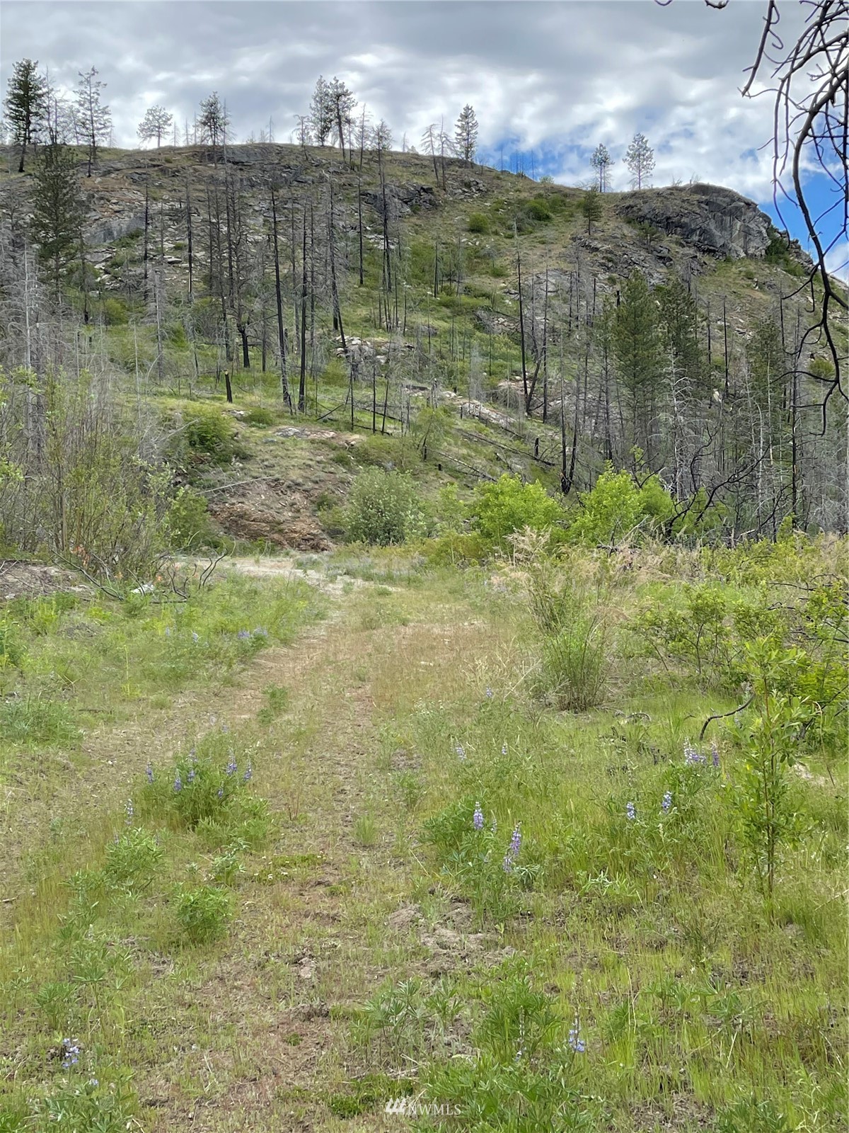 960 X Knox Road Riverside, WA 98849 - Photo 13 of 40 a view of outdoor space and tennis court