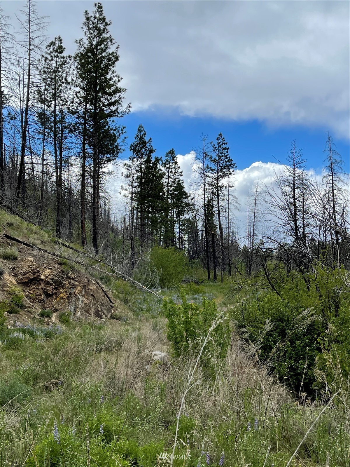 960 X Knox Road Riverside, WA 98849 - Photo 14 of 40 a view of a city