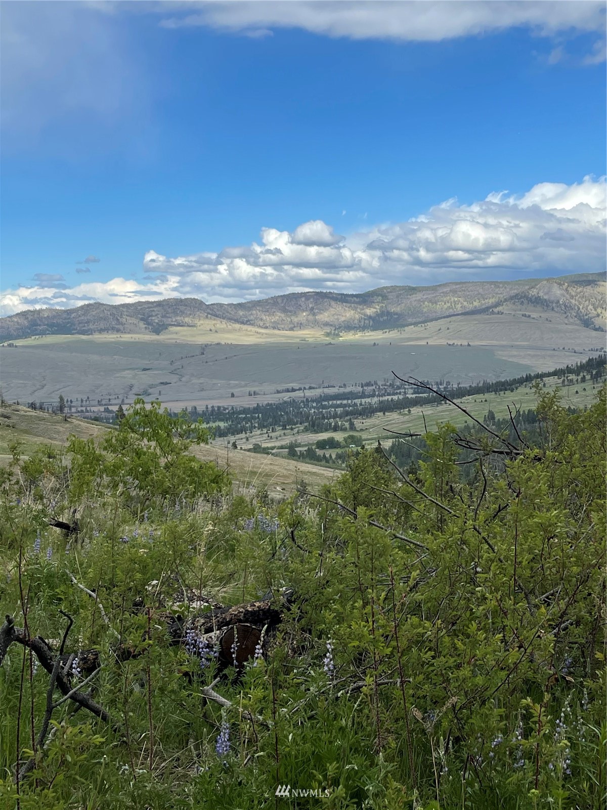 960 X Knox Road Riverside, WA 98849 - Photo 16 of 40 a view of an ocean and beach