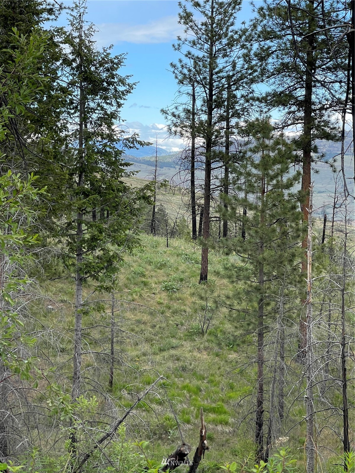 960 X Knox Road Riverside, WA 98849 - Photo 17 of 40 a view of a pathway both side of a brick wall