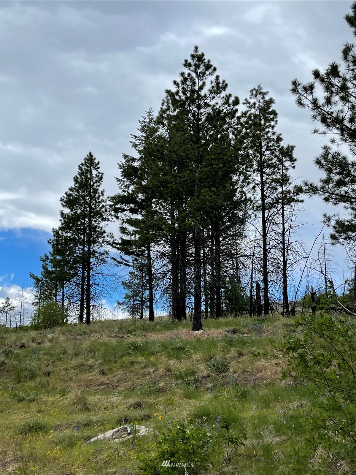 960 X Knox Road Riverside, WA 98849 - Photo 20 of 40 a view of outdoor space with garden