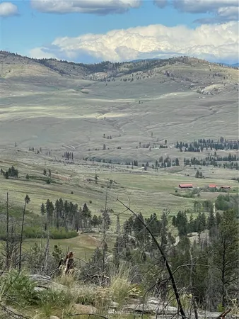 a view of a field with a tree in it