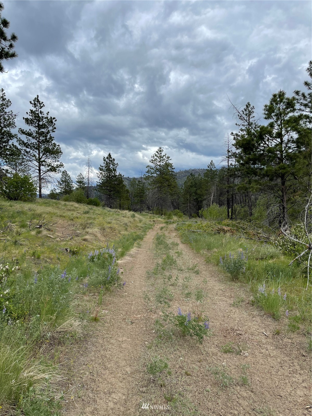 960 X Knox Road Riverside, WA 98849 - Photo 22 of 40 a view of a field with a tree in it