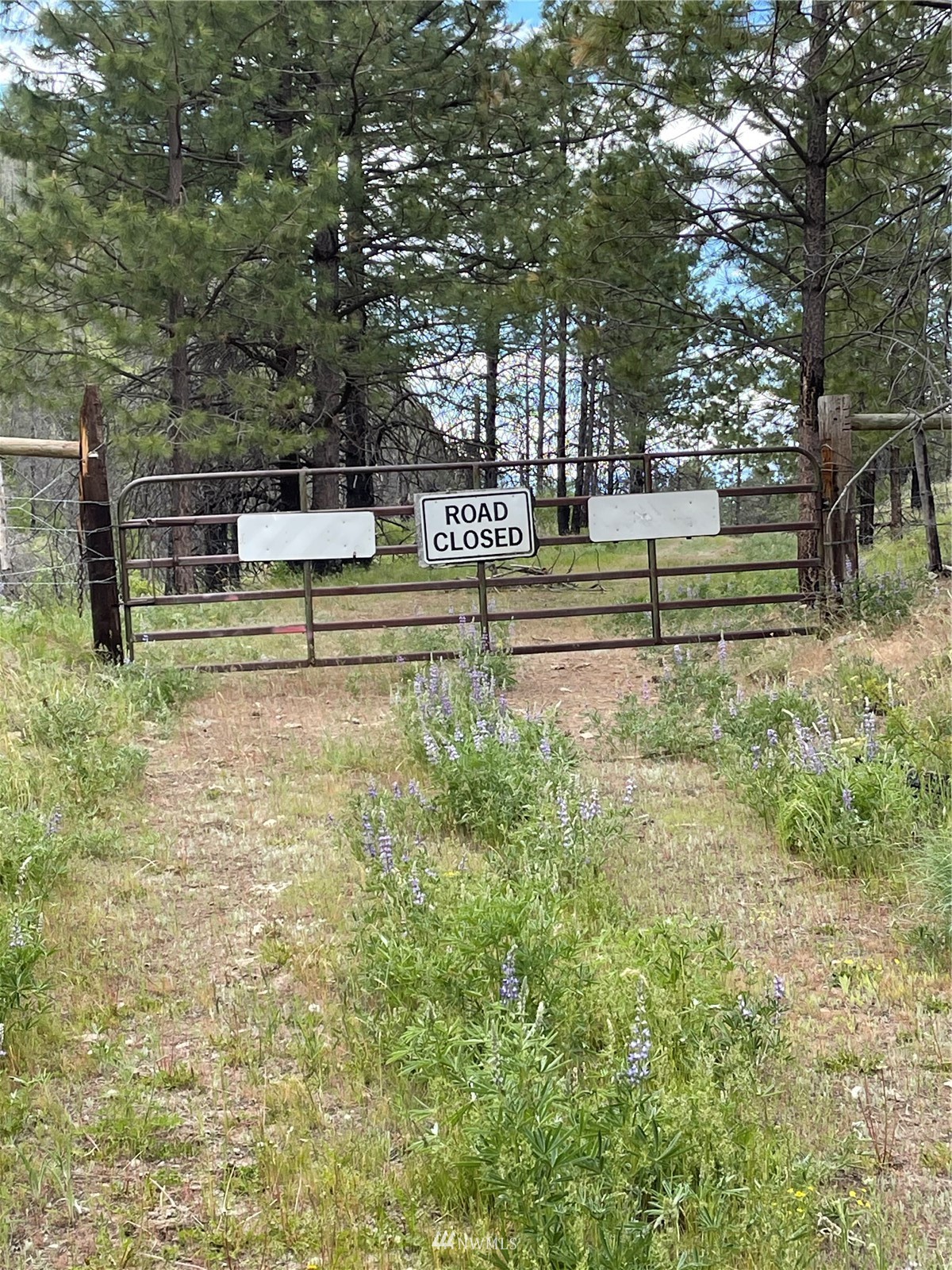 960 X Knox Road Riverside, WA 98849 - Photo 23 of 40 a view of swimming pool with trees and outdoor seating