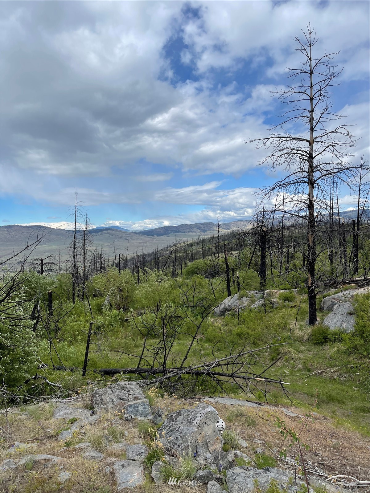 960 X Knox Road Riverside, WA 98849 - Photo 27 of 40 a view of a town with large trees