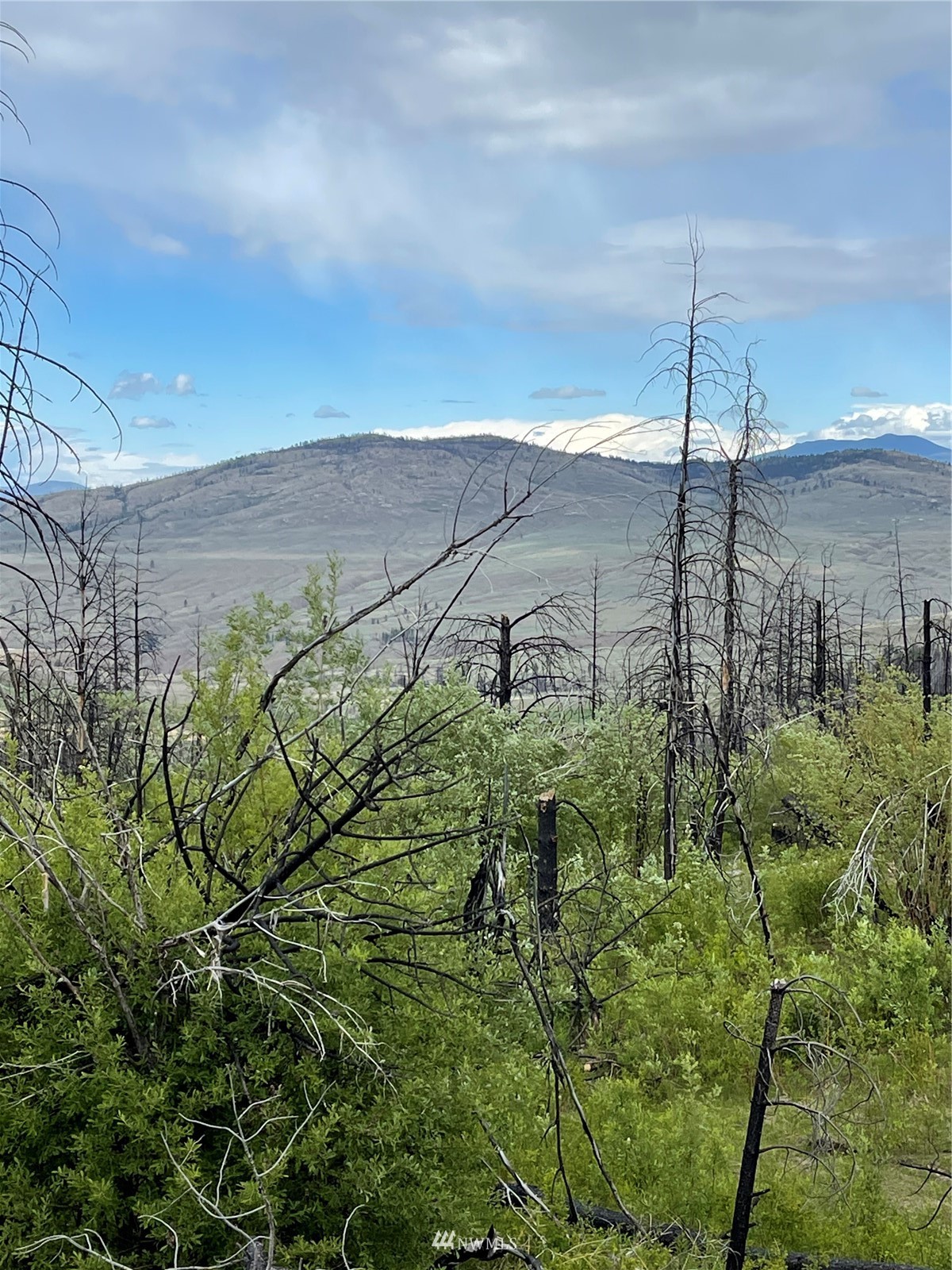 960 X Knox Road Riverside, WA 98849 - Photo 28 of 40 a view of a garden
