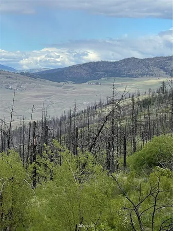 a view of a lake with a yard
