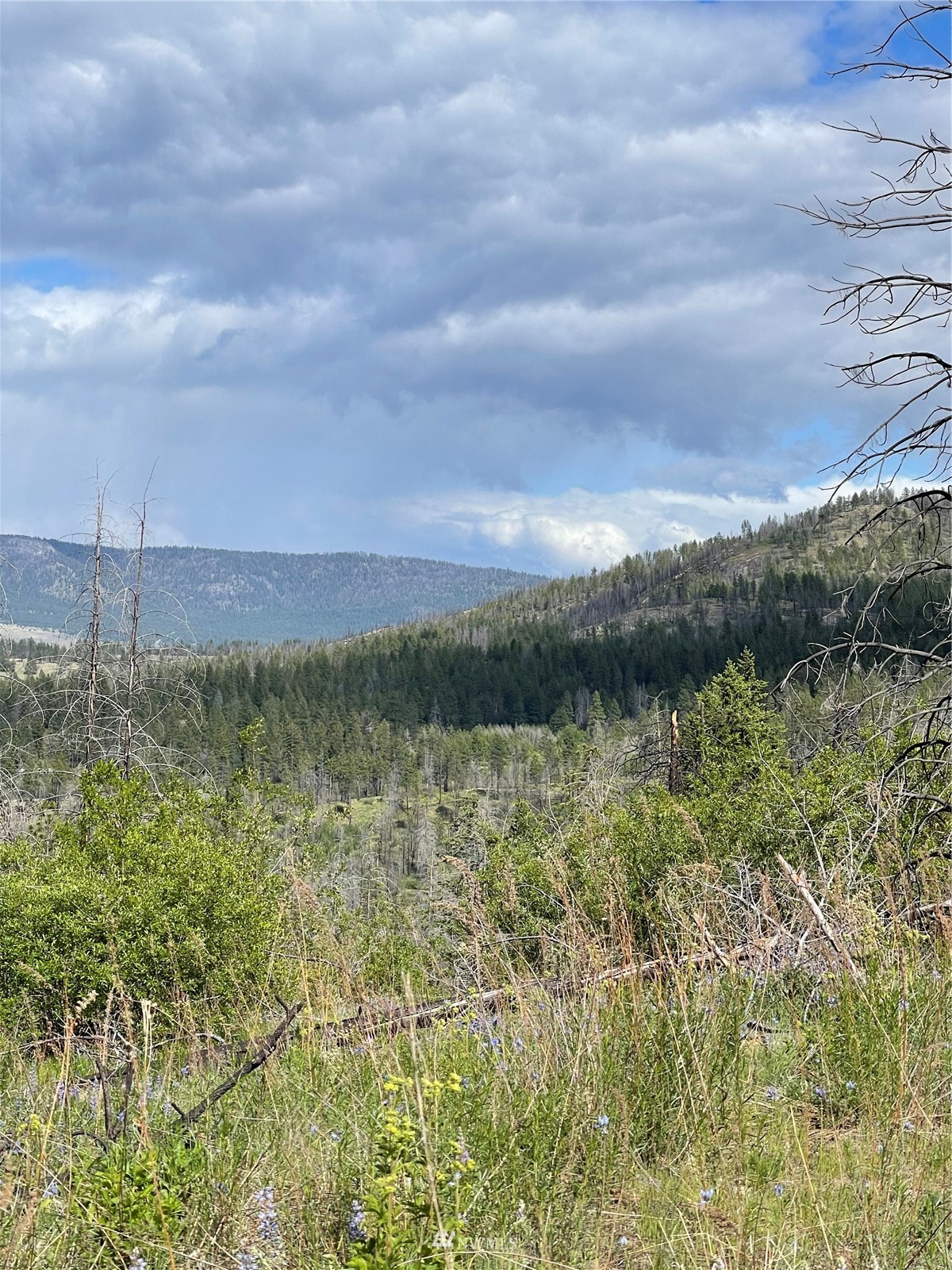 960 X Knox Road Riverside, WA 98849 - Photo 31 of 40 a view of a lake with a yard